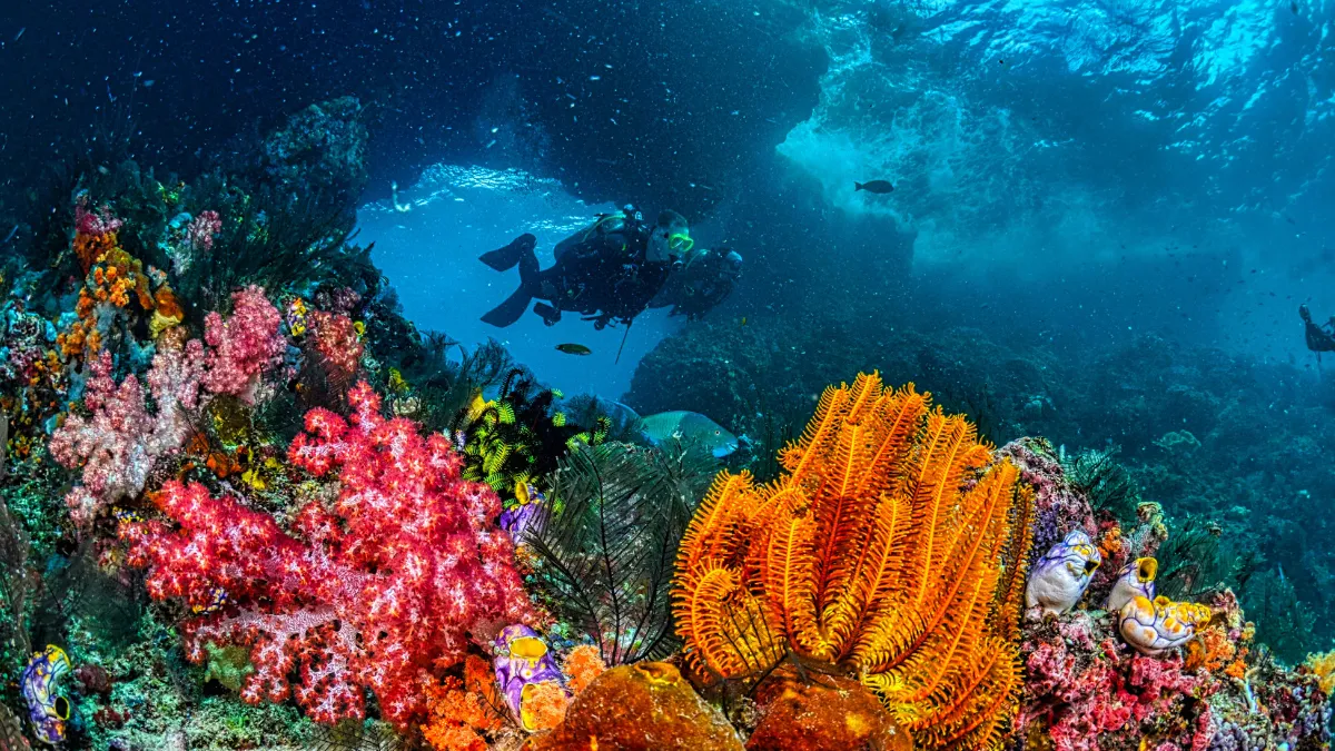 Diving and snorkeling Koh Samet Diving and snorkeling Koh Samet