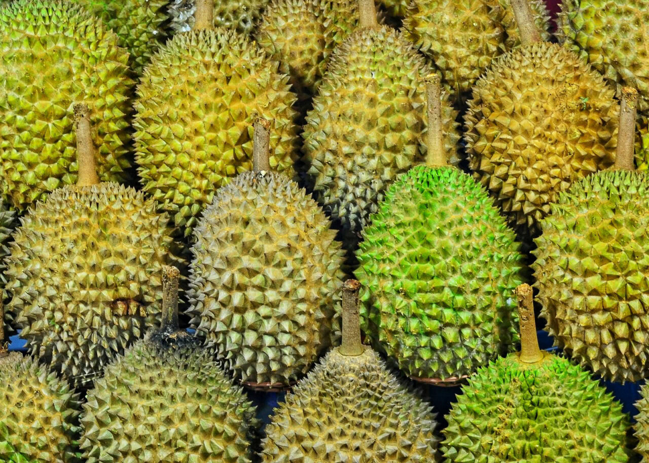 durian-fruit-1280x914-1 Durian fruit